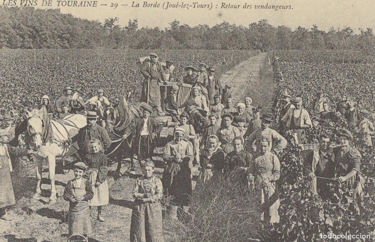 Postales: France Tours La Borde Played L&egrave;s Return Of The Grape Unposted *YBC093