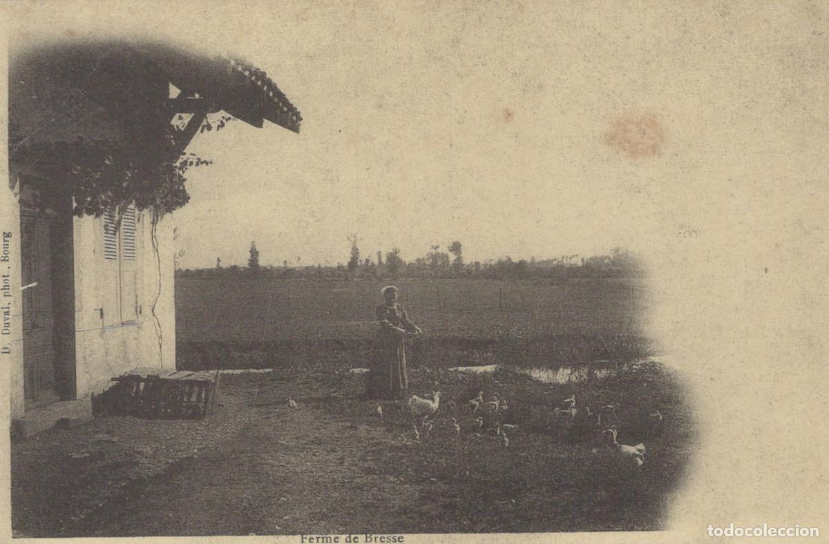 Cartes Postales: France Bourg Saint And&eacute;ol Bresse Farm Woman Unposted Reproduction *YBC119