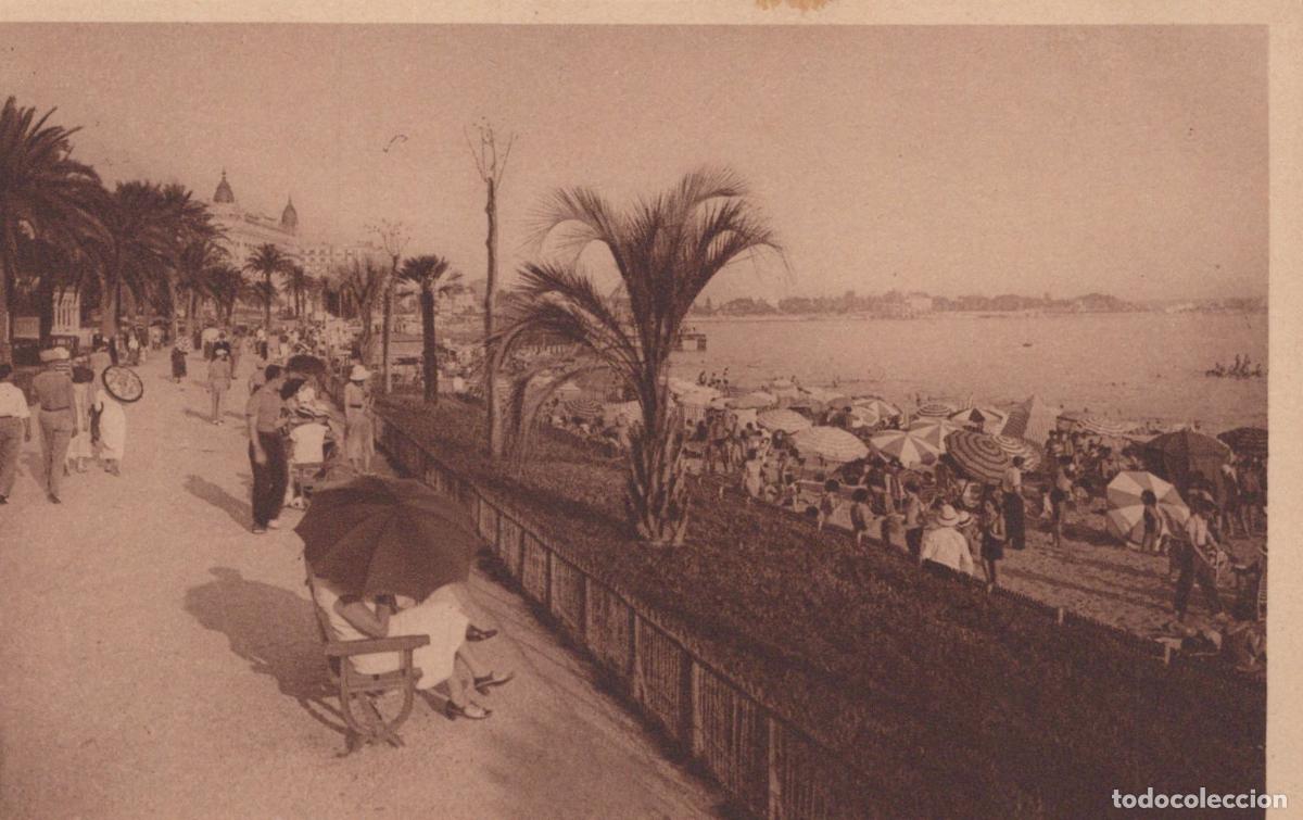 Cartes Postales: France Cannes La Croisette Beach Scene With Palm Trees And Unposted *YBC213