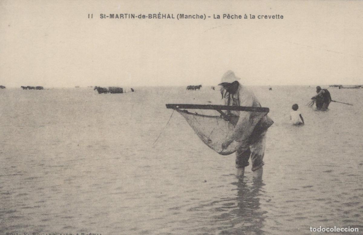 Postales: France Brehal St Martin De Br&eacute;hal Mancha Shrimp Unposted Reproduction *YBC106