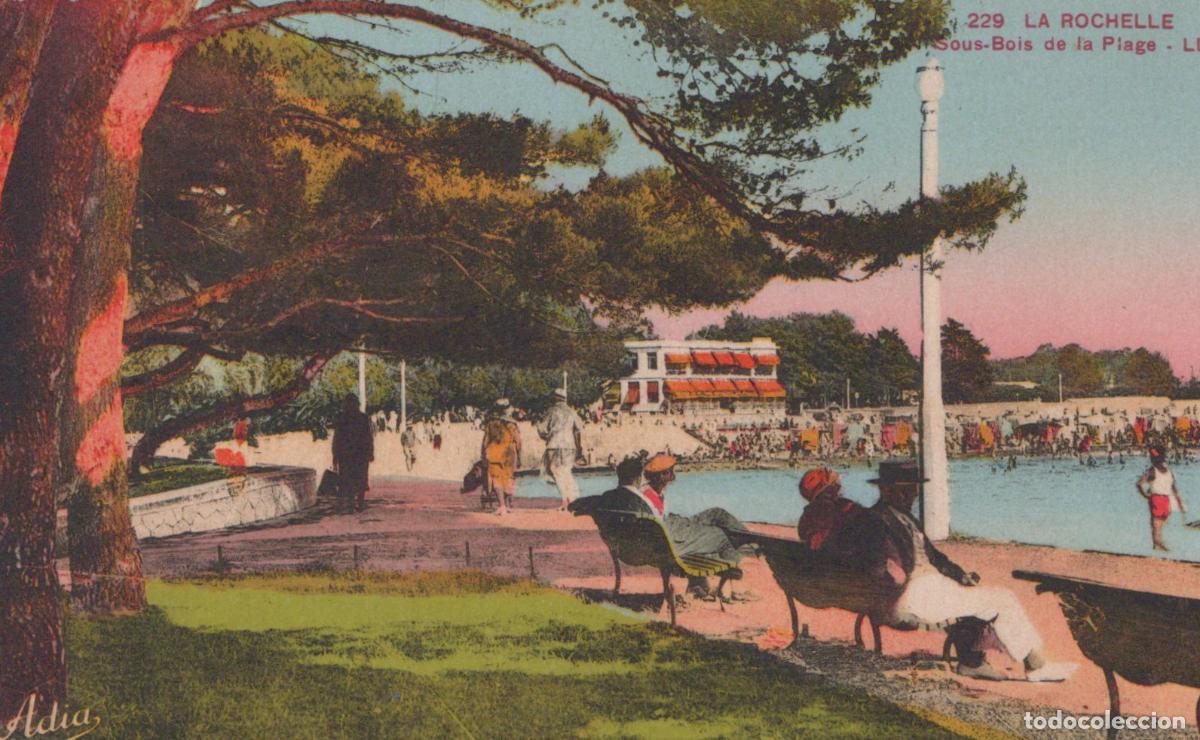 Postais: France La Rochelle Beach Promenade And Park People Relaxing Unposted *YBC226