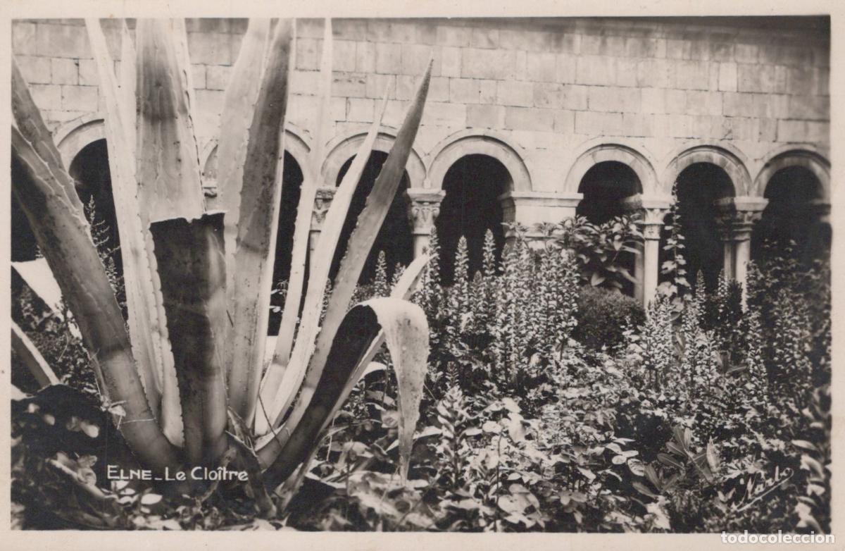 Postcards: France Elne The Cloister 66 Oriental Pyrenees Unposted *YBC391