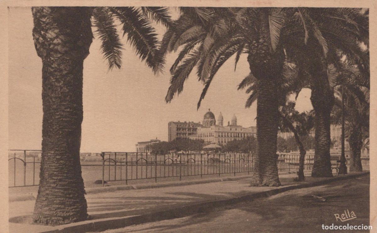 Postales: France Saint Rapha&euml;l Saint Raphael Palm Trees On The Boulevard Unposted *YBC678