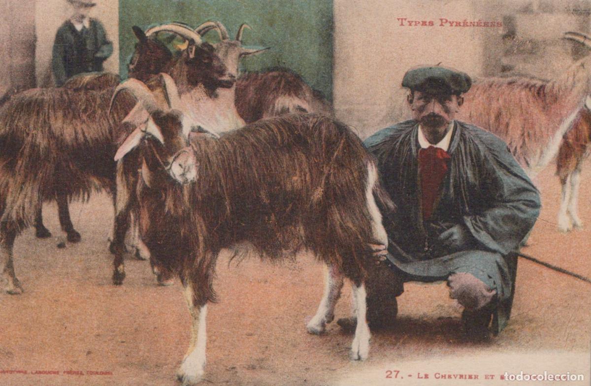 Postales: France Avignon Pyrenean Types Goat Herder And His Flock In The Unposted *YBC705
