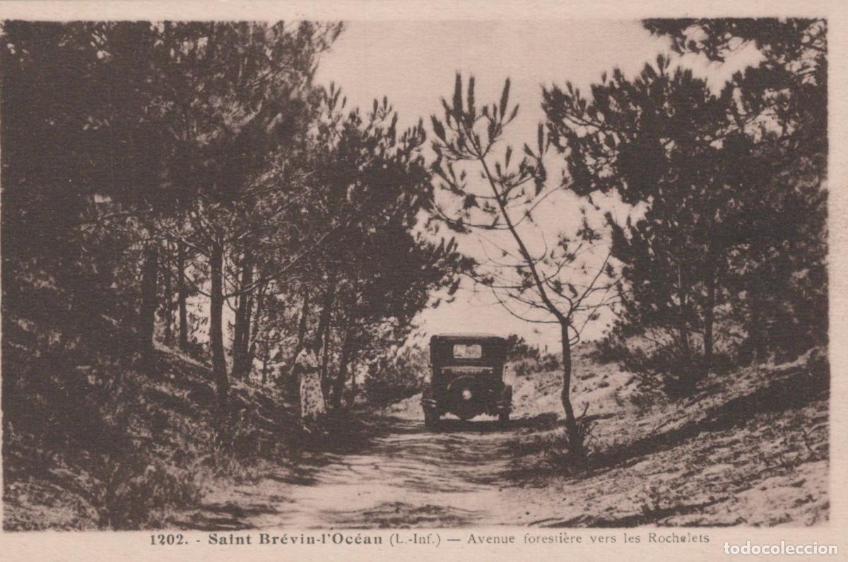 Postais: France Saint Brevin Les Pins Forest Road Towards Les Rochelets In Saint *YBC586