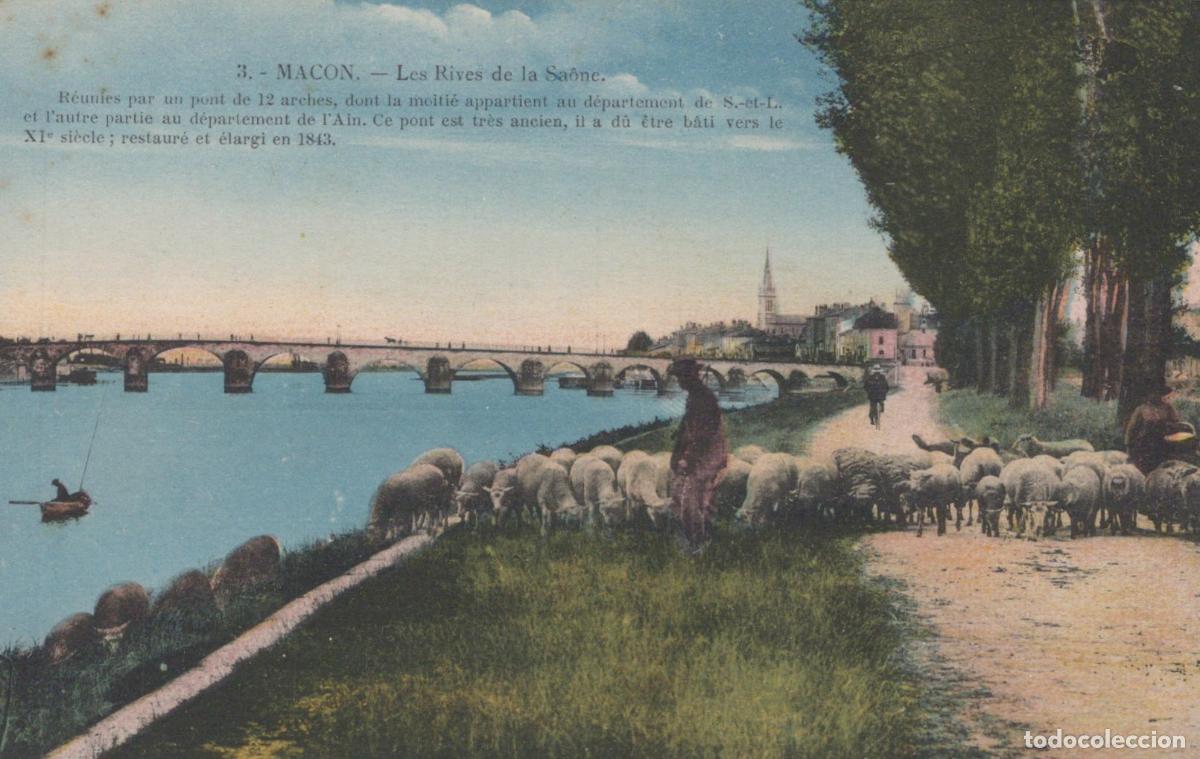 Cartoline: France Macon Banks Of The Saone River With Sheep And Bridge Unposted *YBC838