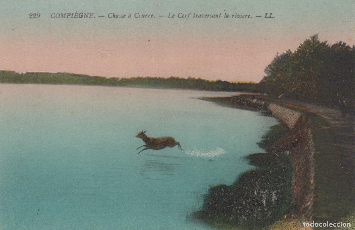 Postcards: France Compiegne Deer Crossing The River During A Hunt In Unposted *YBC696