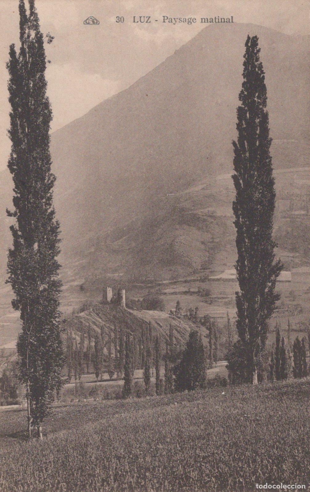 Postais: France Luz Saint Sauveur Morning Landscape With Poplar Trees Unposted *YBC868