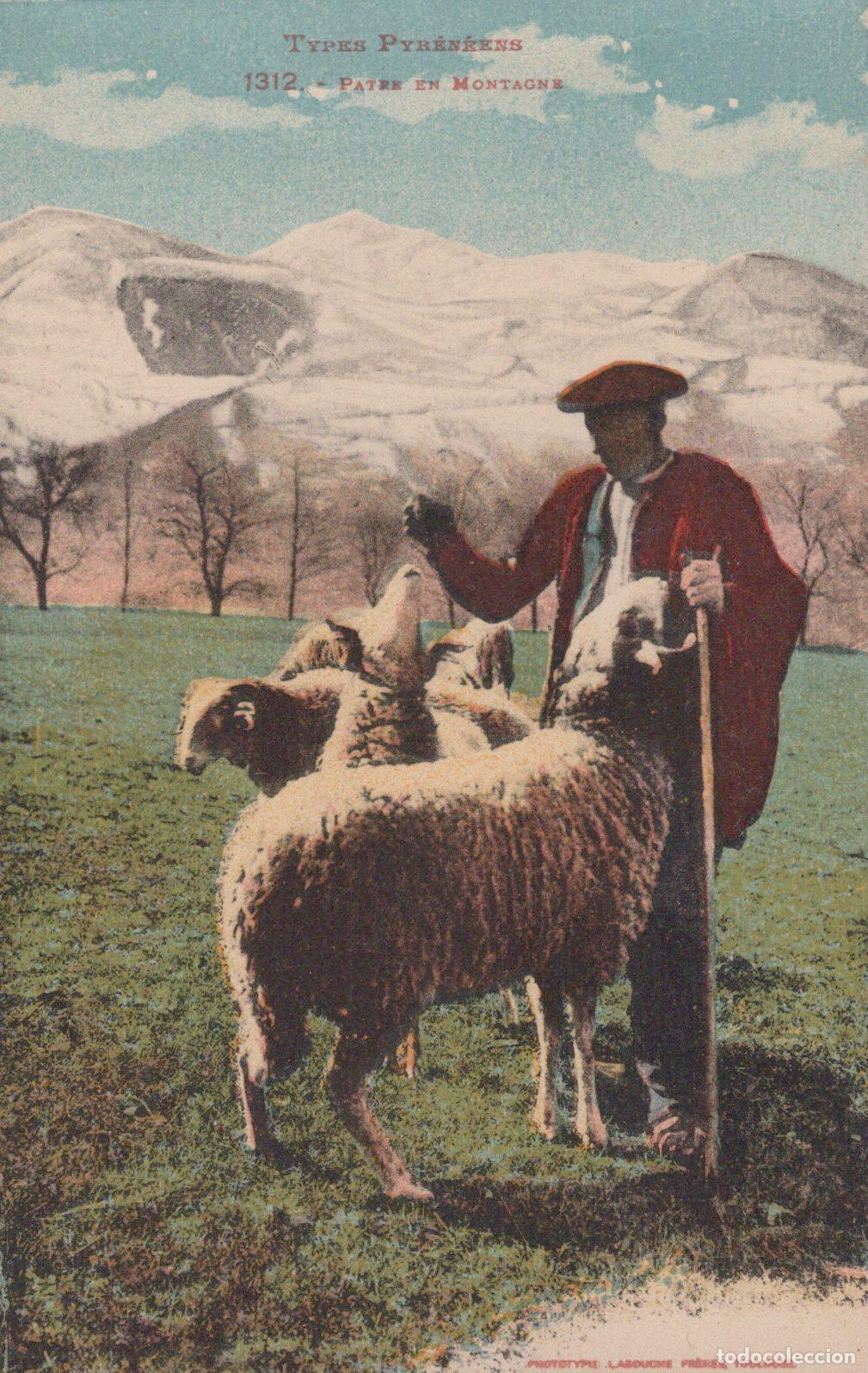 Postales: France Nancy Pyrenean Types Shepherd In The Mountains *YBC996