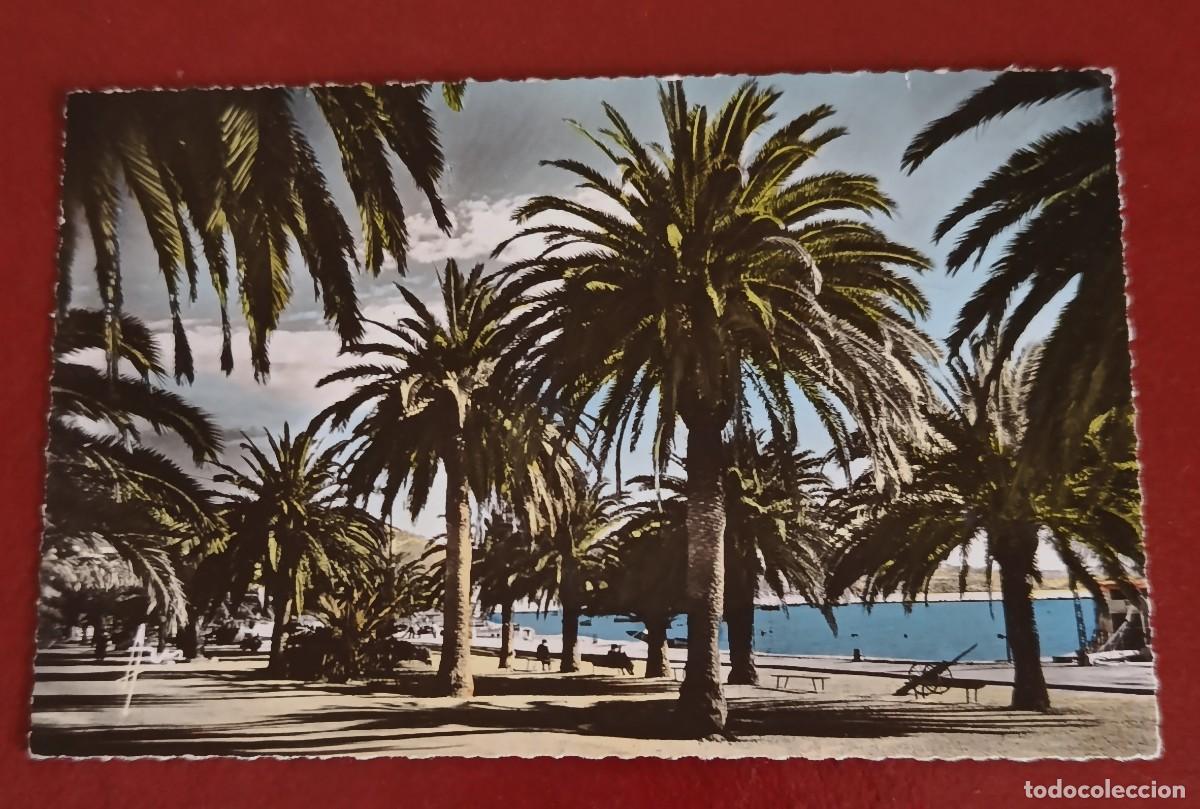 Postales: AVENIDA DE LOS PALMEROS - COSTA AZUL - FRANCIA 1930