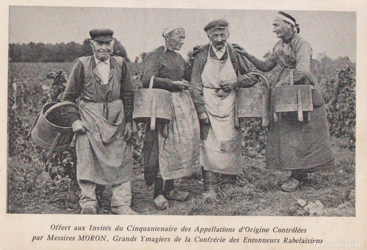 Postales: FRANCIA, JOU&Eacute; LES TOURS, VENDIMIADORES ANCIANOS RECOLECTANDO UVAS EN LA BORDE &ndash; F.MORON - ESCRITA