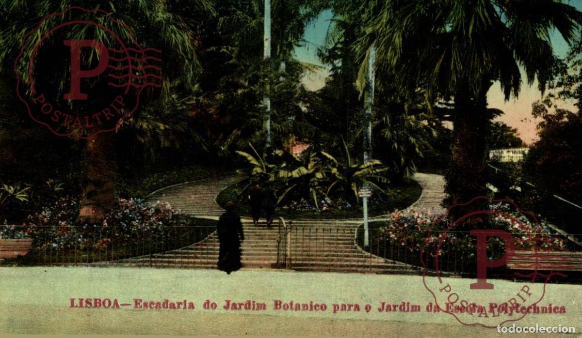 Cartoline: LISBOA. Escadaria Do Jardim Botanico Para o Jardim Da Escola Polytechnien. PORTUGAL LE PORTUGAL