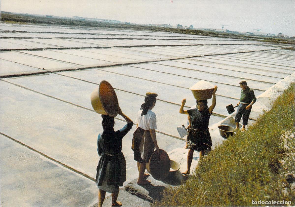 Postales: Postal de Figueira da Foz, Portugal - Trabajadores transportando sal