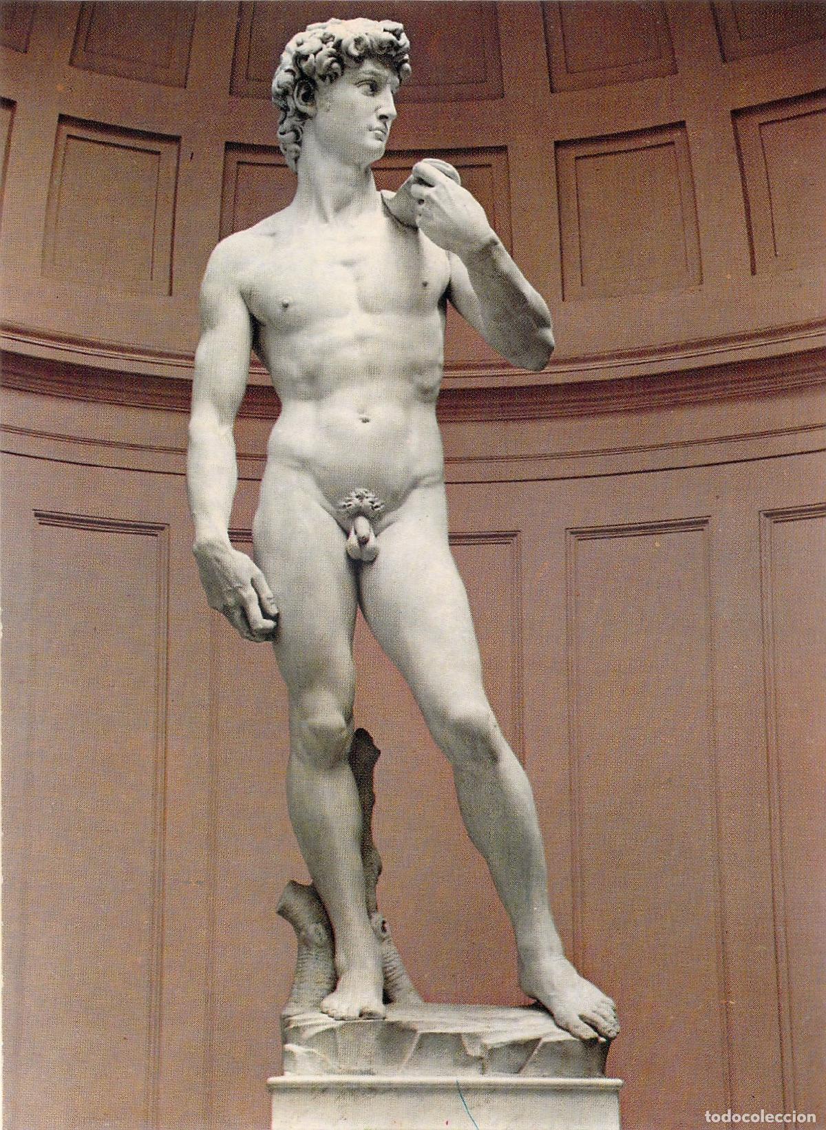 Postales: Postal de la escultura David de Miguel &Aacute;ngel en Florencia Italia