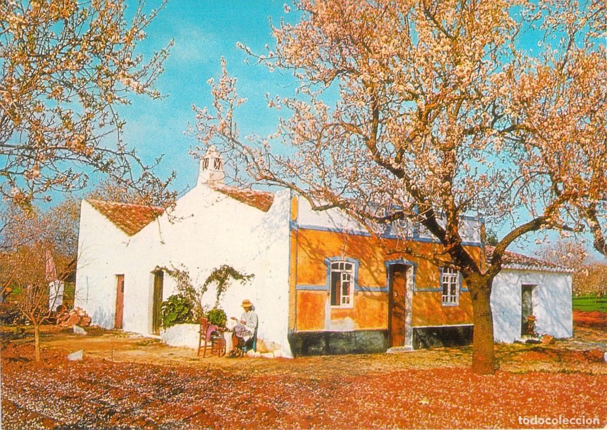 Postcards: Postal de casa t&iacute;pica y almendros en flor en el Algarve, Portugal