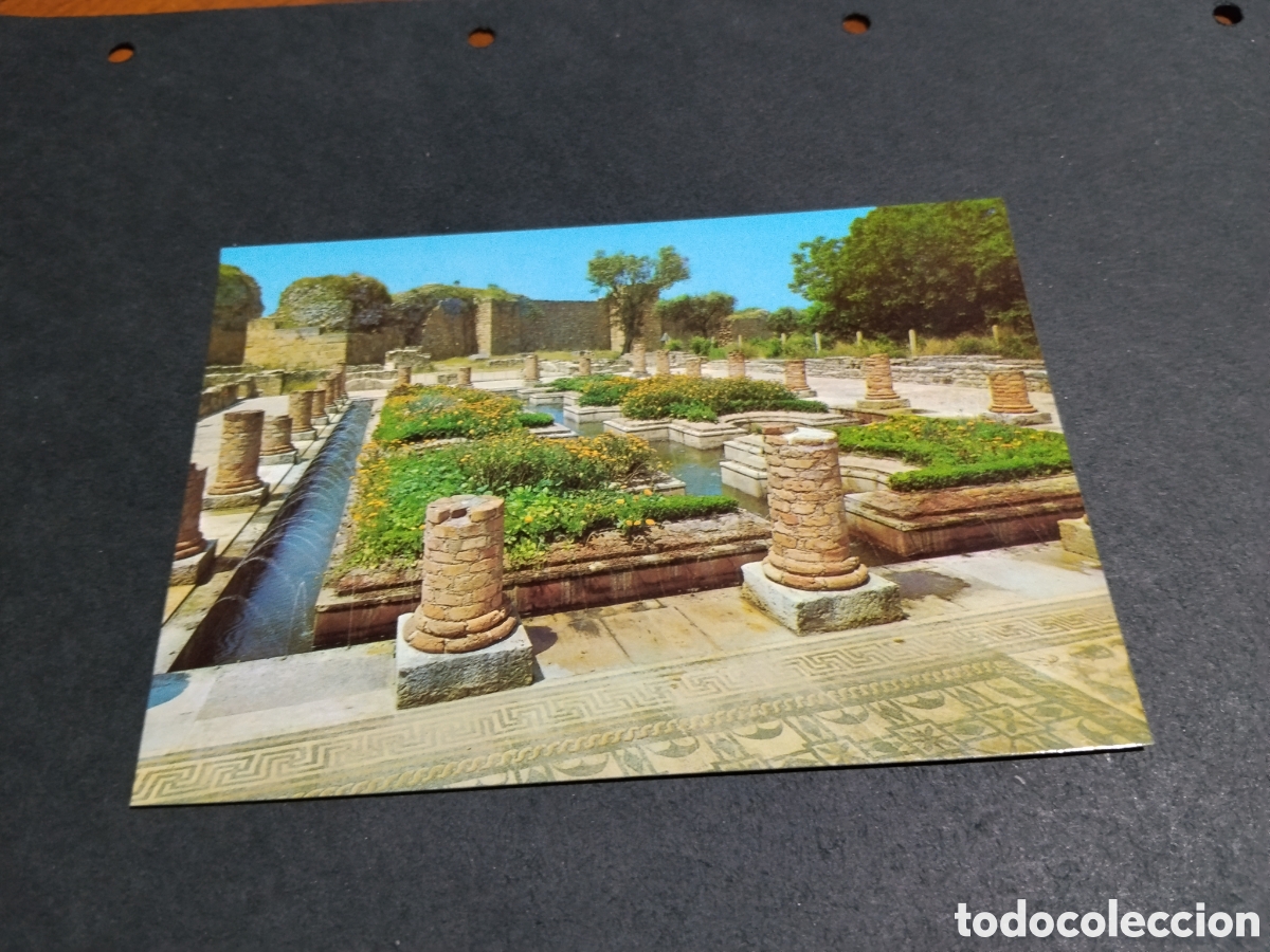 Postales: Postal Conimbriga patio jard&iacute;n