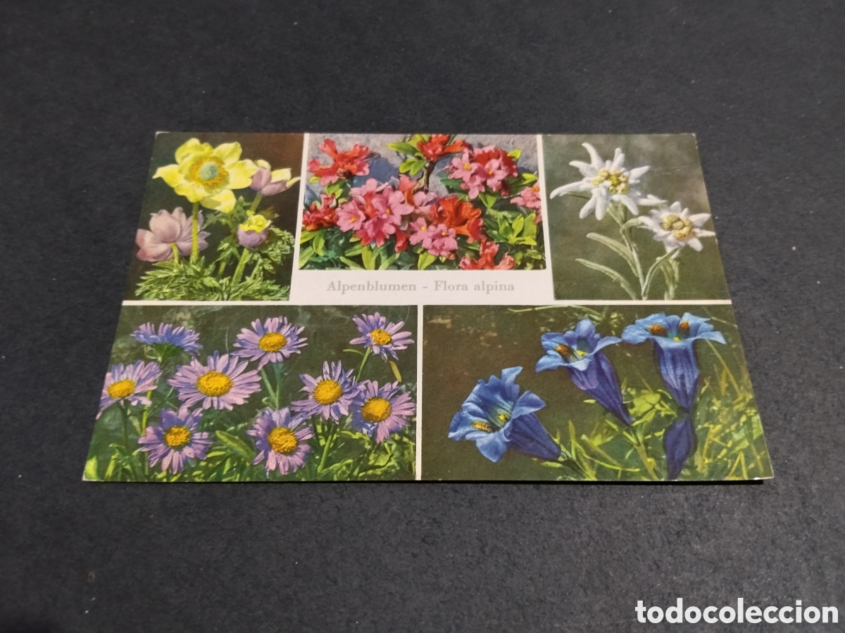 Postales: Postal flora alpina ..... - Foto 1
