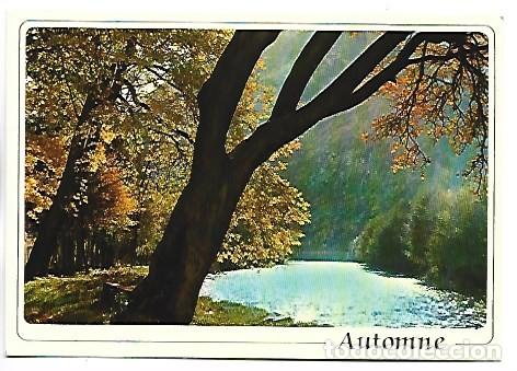 Postales: &rdquo; AUTOMNE &rdquo;, RIVIERE DE HAUTE MONTAGNE.- SITES PYRENEENS / FRANCIA