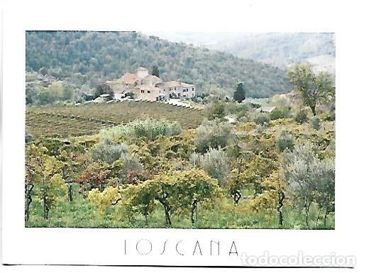 Postales: IL CENNINO - CASTELLINA IN CHIANTI.- TOSCANA / ITALIA