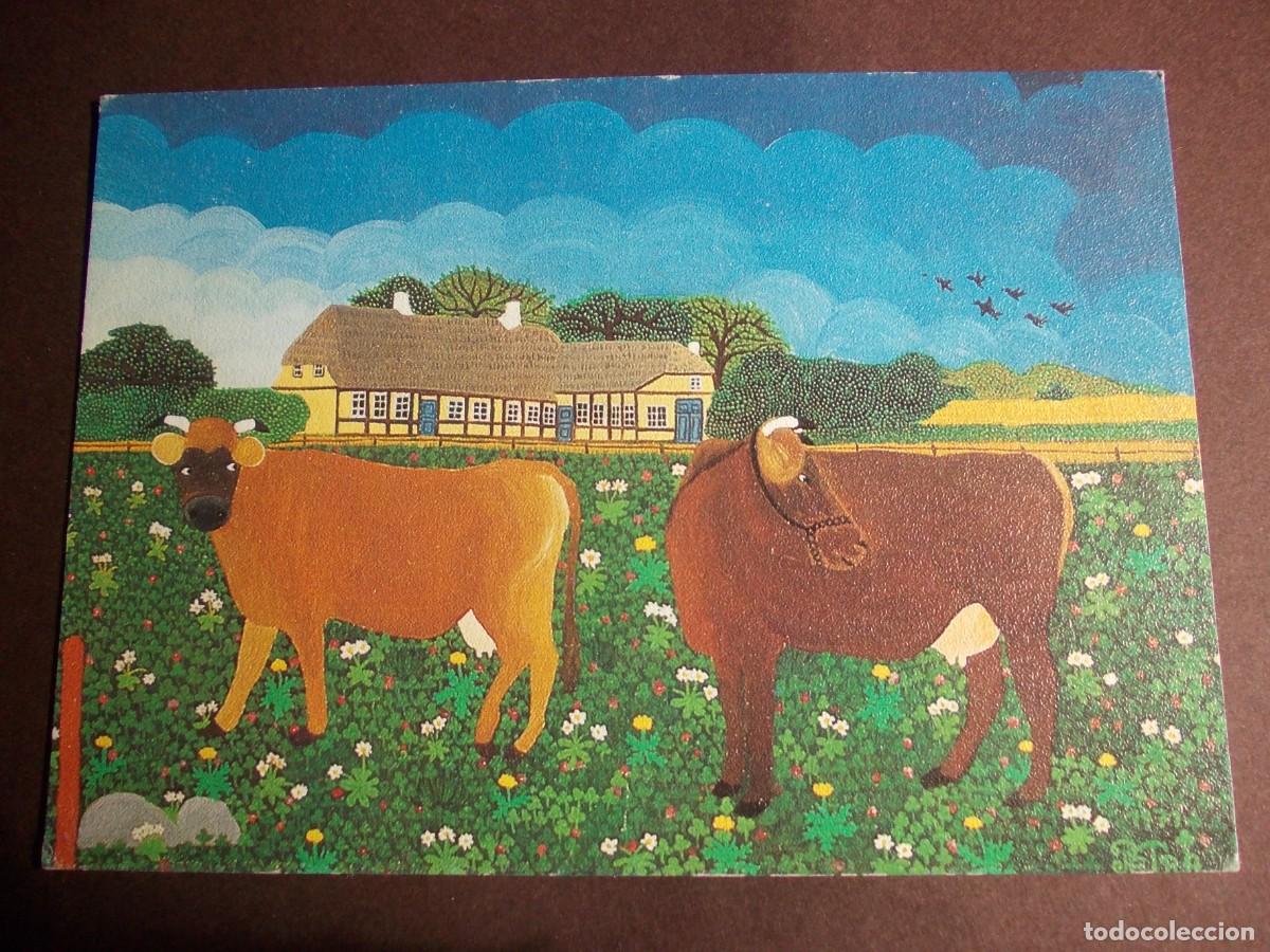Postkarten: Postal Petra Iversen Olga und Hermine vacas paisaje rural Alemania ilustraci&oacute;n granja