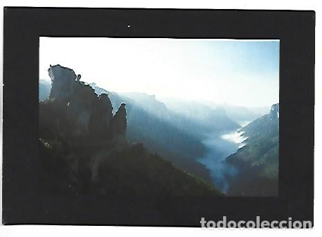 Postales: BRUME MATINALE.- LES GORGES DU TARN / FRANCIA