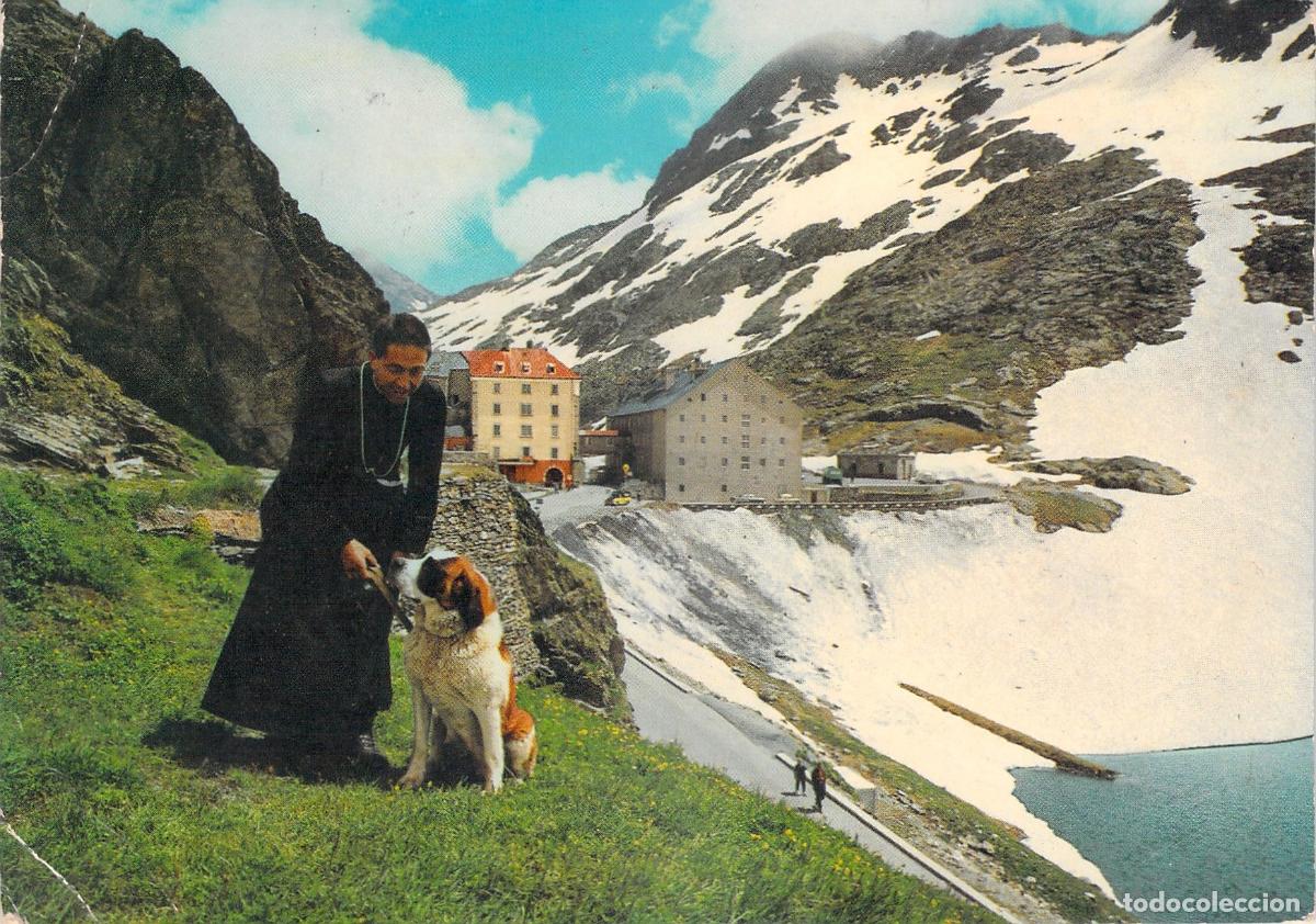 Cartes Postales: Postal del Gran San Bernardo con monje y perro