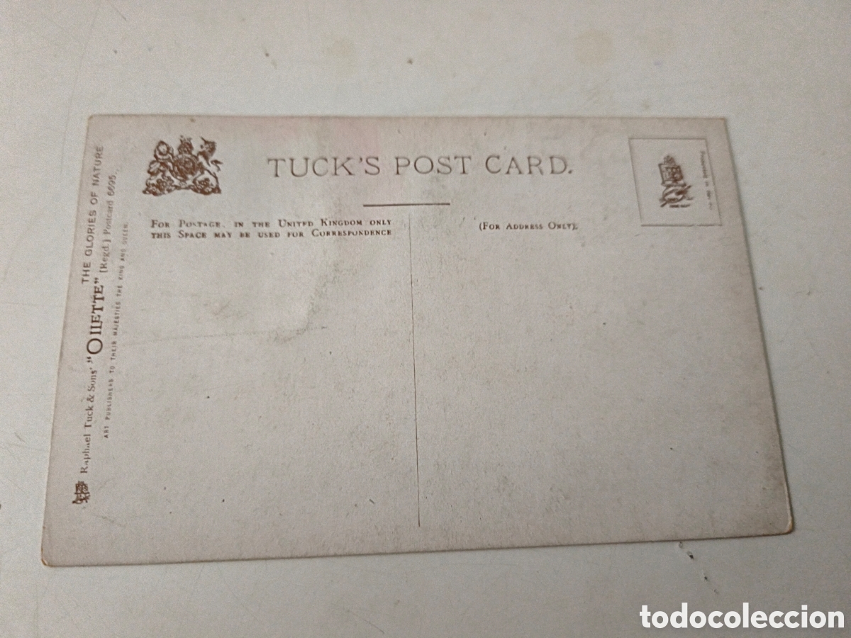 Postales: Postal The Mellowing Year - Foto 2