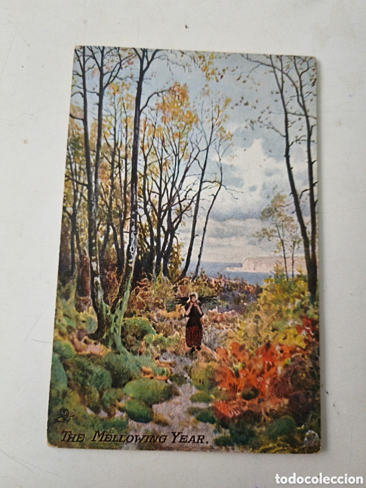 Postcards: Postal The Mellowing Year