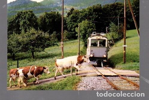 Postales: POSTAL DE TRENES EDITOR TREN TUR&Iacute;STICO HEMI SIN CIRCULAR