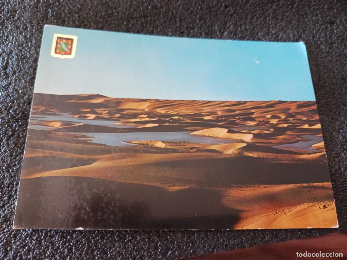 Postales: 21 AAIUN, DUNAS EN LAS SAHIA, ED. ESCUDO DE ORO ESCRITA