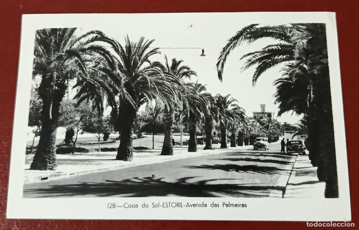 Cartes Postales: POSTAL BLANCO Y NEGRO AVDA DAS PALMEIRAS EN ESTORIL - COSTA DEL SOL - PORTUGAL A&Ntilde;OS 50