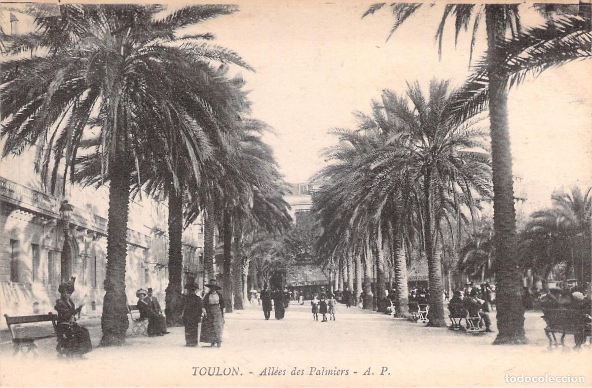 Postales: Postal de Toulon All&eacute;es des Palmiers