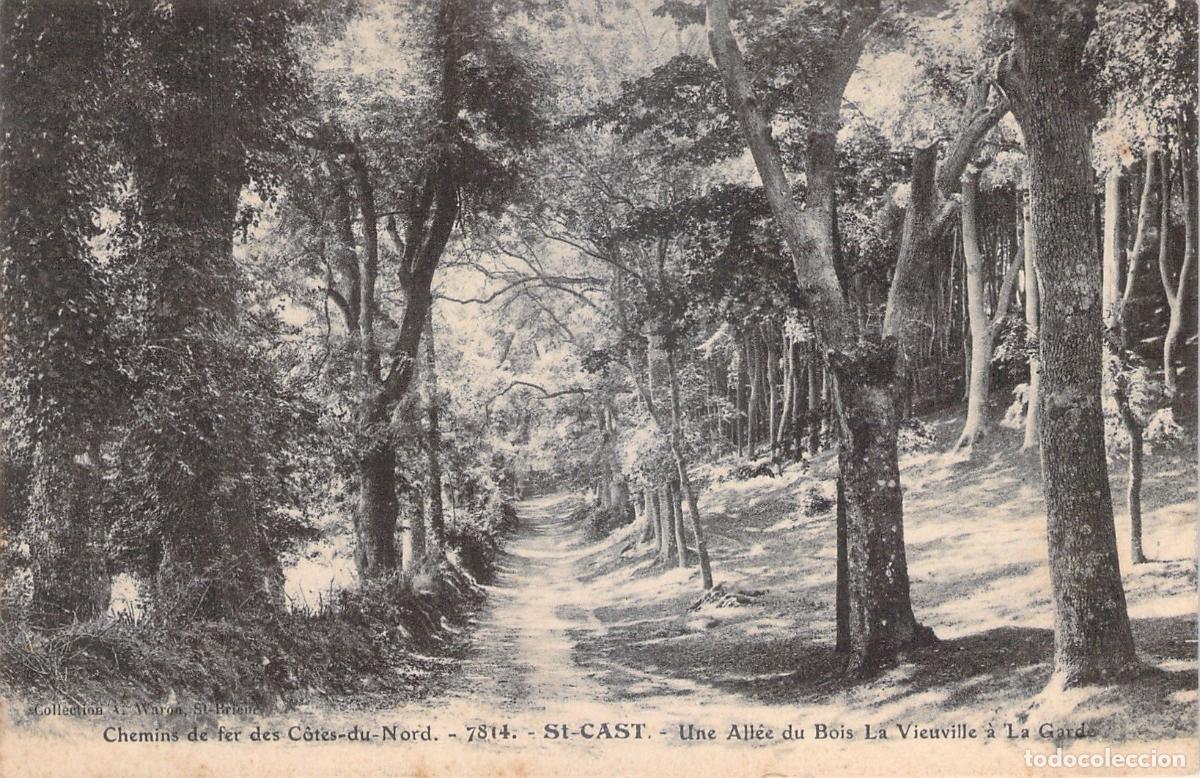 Postales: Postal de un sendero en el bosque de La Vieuville en Saint-Cast, Francia
