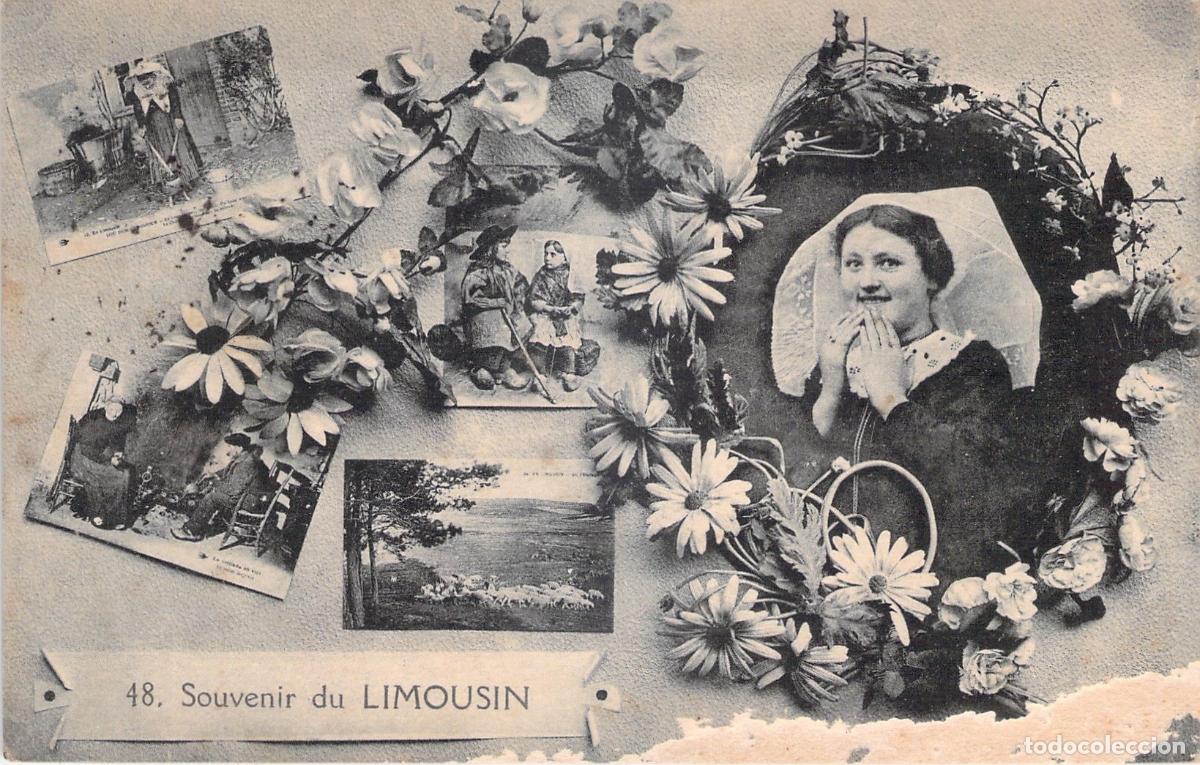 Postais: Postal de recuerdo de Limousin con im&aacute;genes regionales y flores