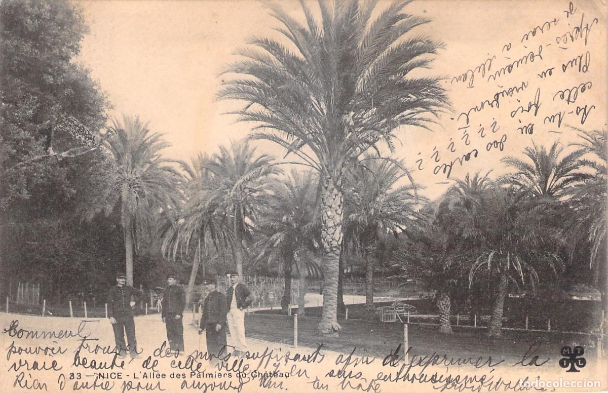 Postales: Postal de L'All&eacute;e des Palmiers du Ch&acirc;teau en Niza