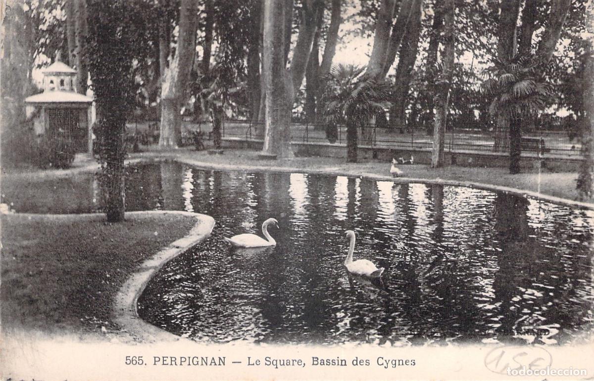 Postkarten: Postal de Perpignan Francia Estanque con Cisnes en el Parque