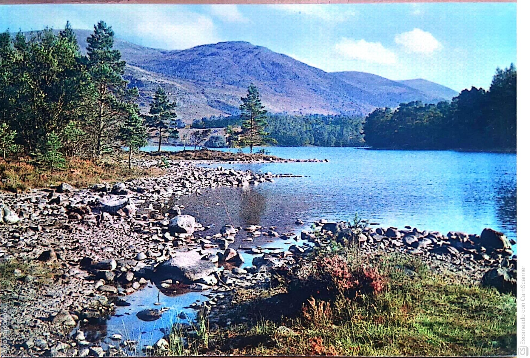 Postcards: (Escocia). 3573 Loch an Eilein proviene del ga&eacute;lico escoc&eacute;s y significa lago de la isla. Nueva. Col