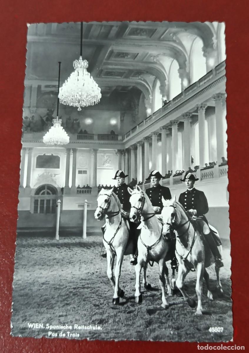 Cartes Postales: POSTAL BLANCO Y NEGRO ESCUELA ESPA&Ntilde;OLA DE EQUITACI&Oacute;N EN VIENA - AUSTRIA 1957