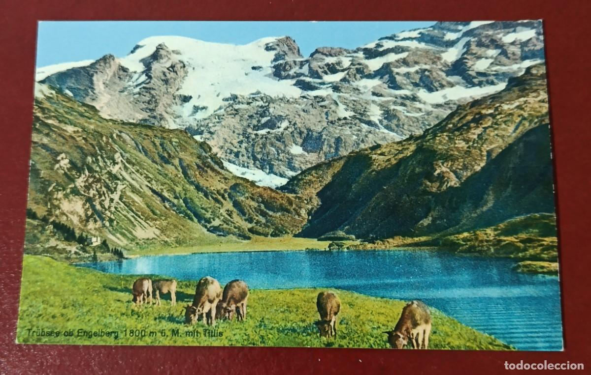 Postkarten: POSTAL LAGO TR&Uuml;BSEE EN ENGELBERG - MONTE TITLIS - SUIZA