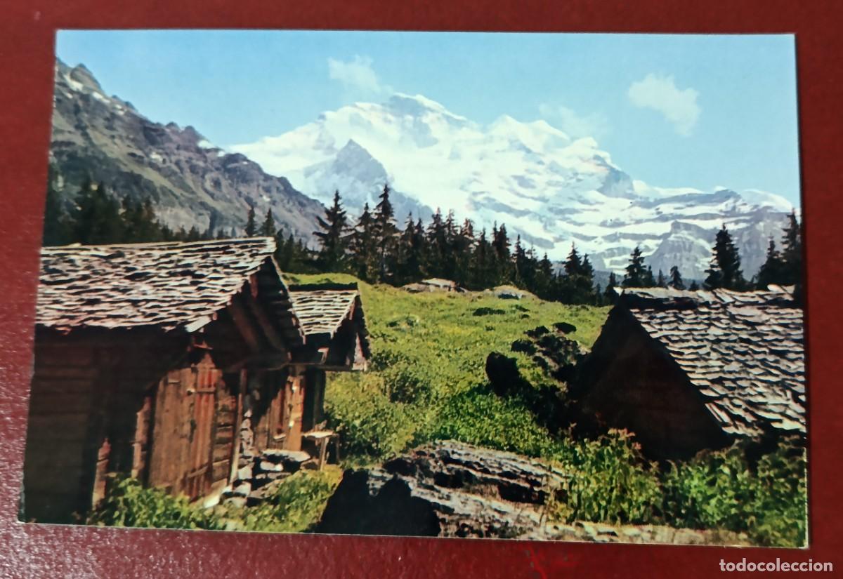 Postcards: POSTAL MACIZO DE LA JUNGFRAU - OBERLAND BERN&Eacute;S - ALPES SUIZOS - SUIZA