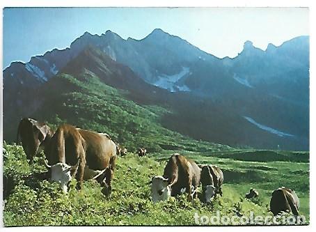 Postales: &rdquo; ALPAGES &rdquo;.- PURETE ET SPLENDEUR DES ALPES / FRANCIA