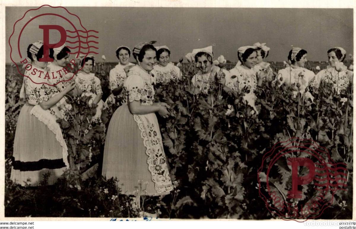 Postais: HUNGR&Iacute;A HUNGARY. Kalocsai nepviselet.Traditional costume of Kalocsa.