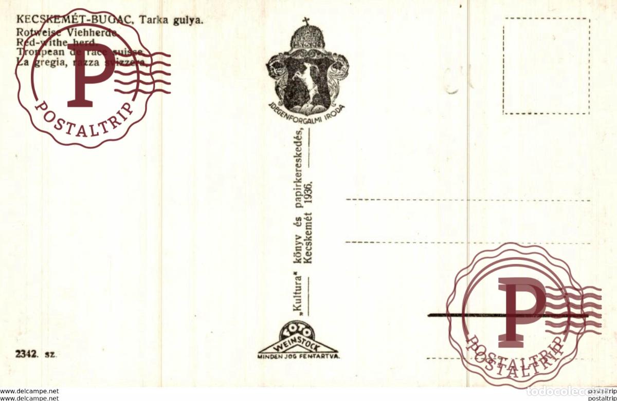 Postales: RPPC Kecskem&eacute;t-Bugac - TARKA GULYA - Foto 2