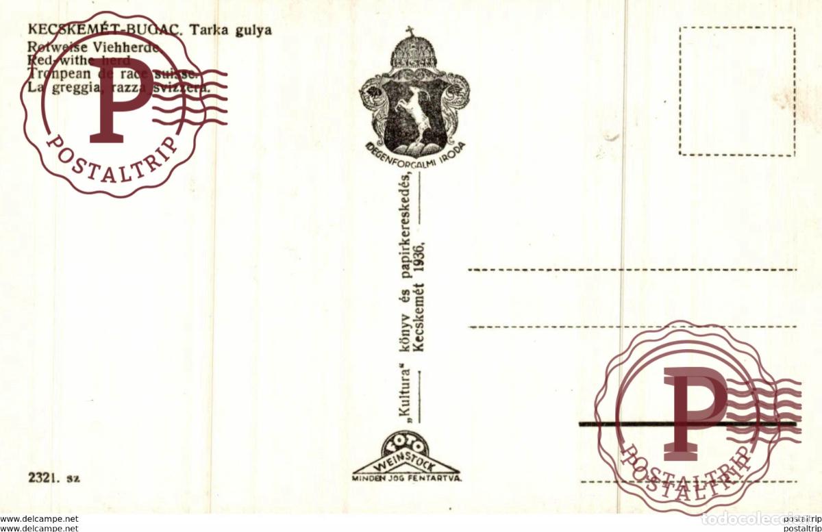 Postales: RPPC Kecskem&eacute;t-Bugac - TARKA GULYA - Foto 2