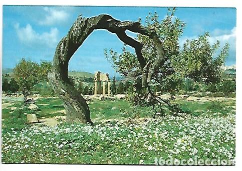 Postales: TEMPLE OF CASTORE AND POLLUCE.- AGRIGENTO / ITALIA