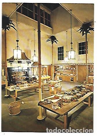 Postales: THE ROYAL PAVILION, THE GREAT KITCHEN.- BRIGHTON / REINO UNIDO