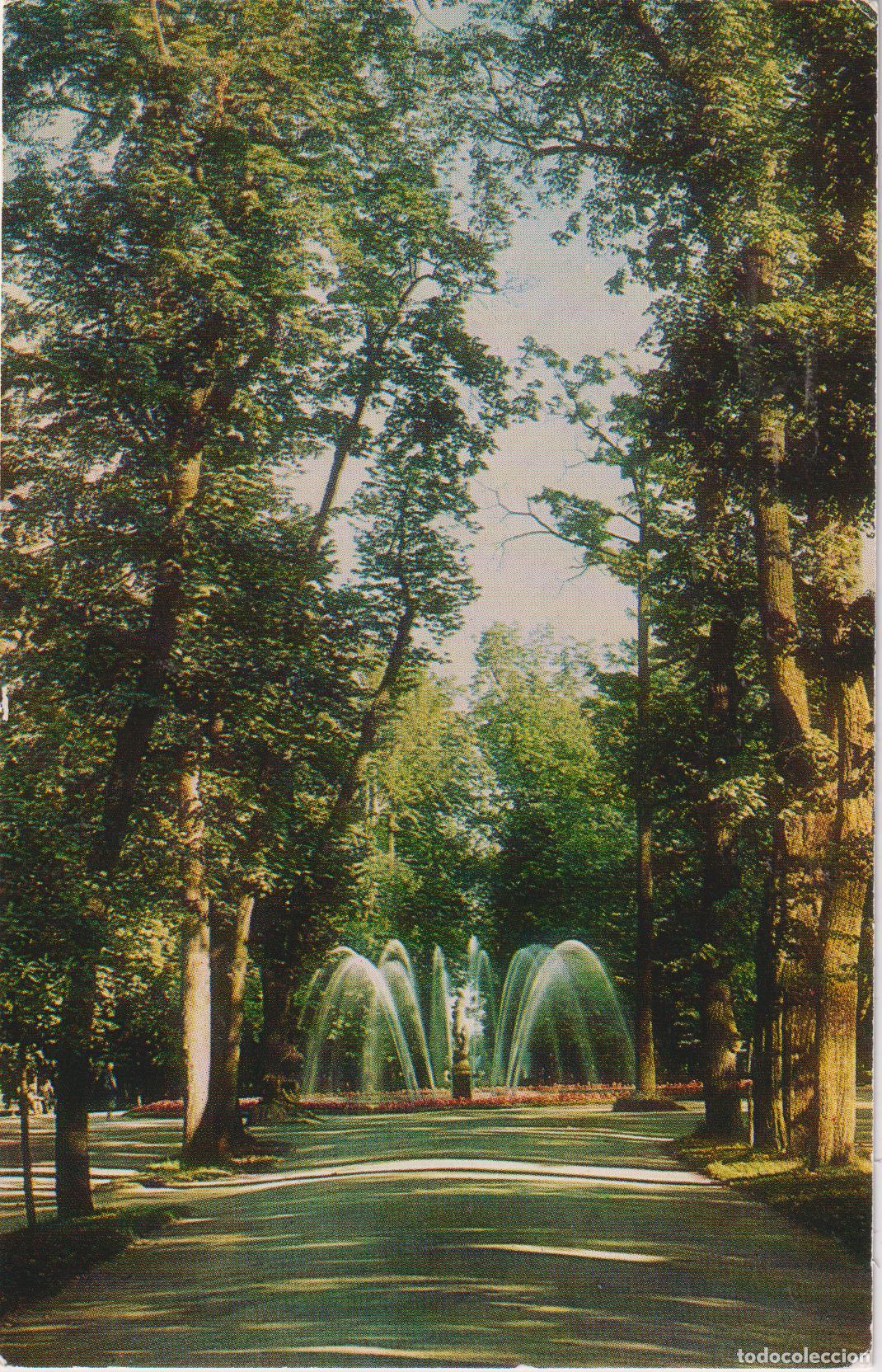 Postales: RUSIA, PALACIO DE PETERHOF, AVENIDA HASTA LA FUENTE DE EVA - PRINTED IN USSR - S/C