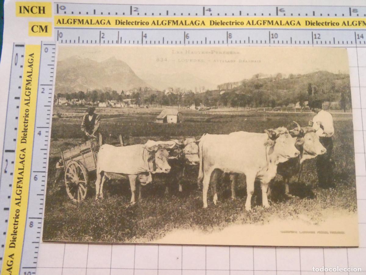 Postales: ANTIGUA POSTAL FACS&Iacute;MIL LA FRANCIA DE OTRO TIEMPO. LOURDES ATTELAGE BEARNAIS 3080
