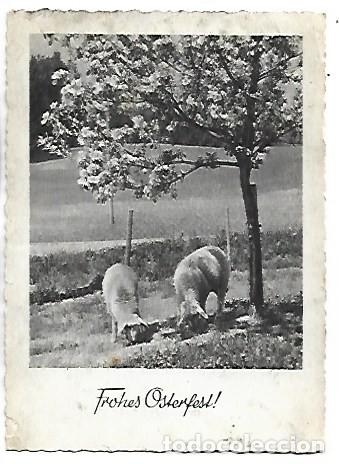 Postales: &rdquo; FROHES OSTERFEST - FELICES PASCUAS &rdquo;.- ALEMANIA