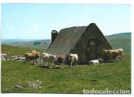 Postales: PATURAGES ET BURON SUR LES MONTS D&acute;AUBRAC.- FRANCIA
